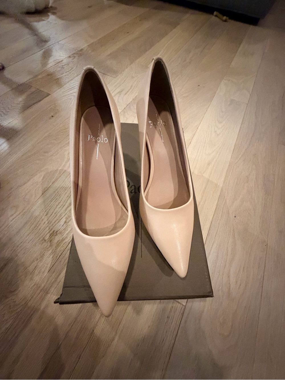 Linea Paolo Beige Pointed-Toe Stiletto Pumps size 8.5 - NWT